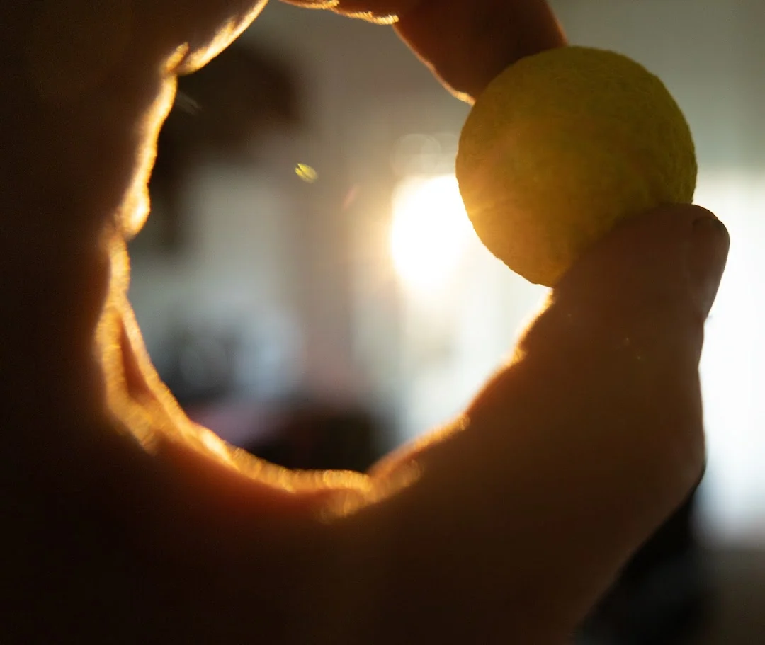 Technology, in focus &mdash; photograph 5